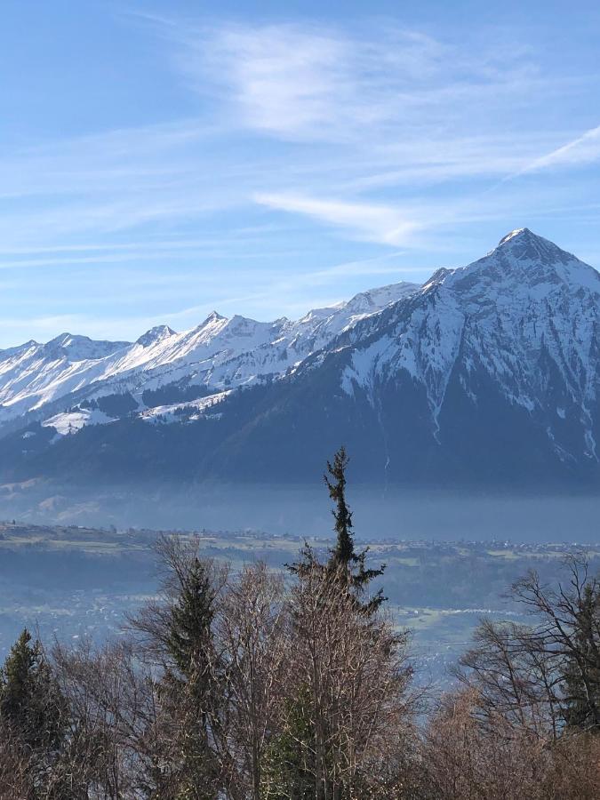 Wohnung Mit See Und Bergsicht Im Vier Sterne Hotel Beatenberg Luaran gambar