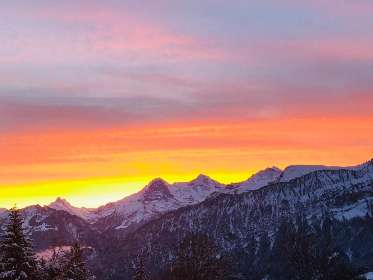 Wohnung Mit See Und Bergsicht Im Vier Sterne Hotel Beatenberg Luaran gambar