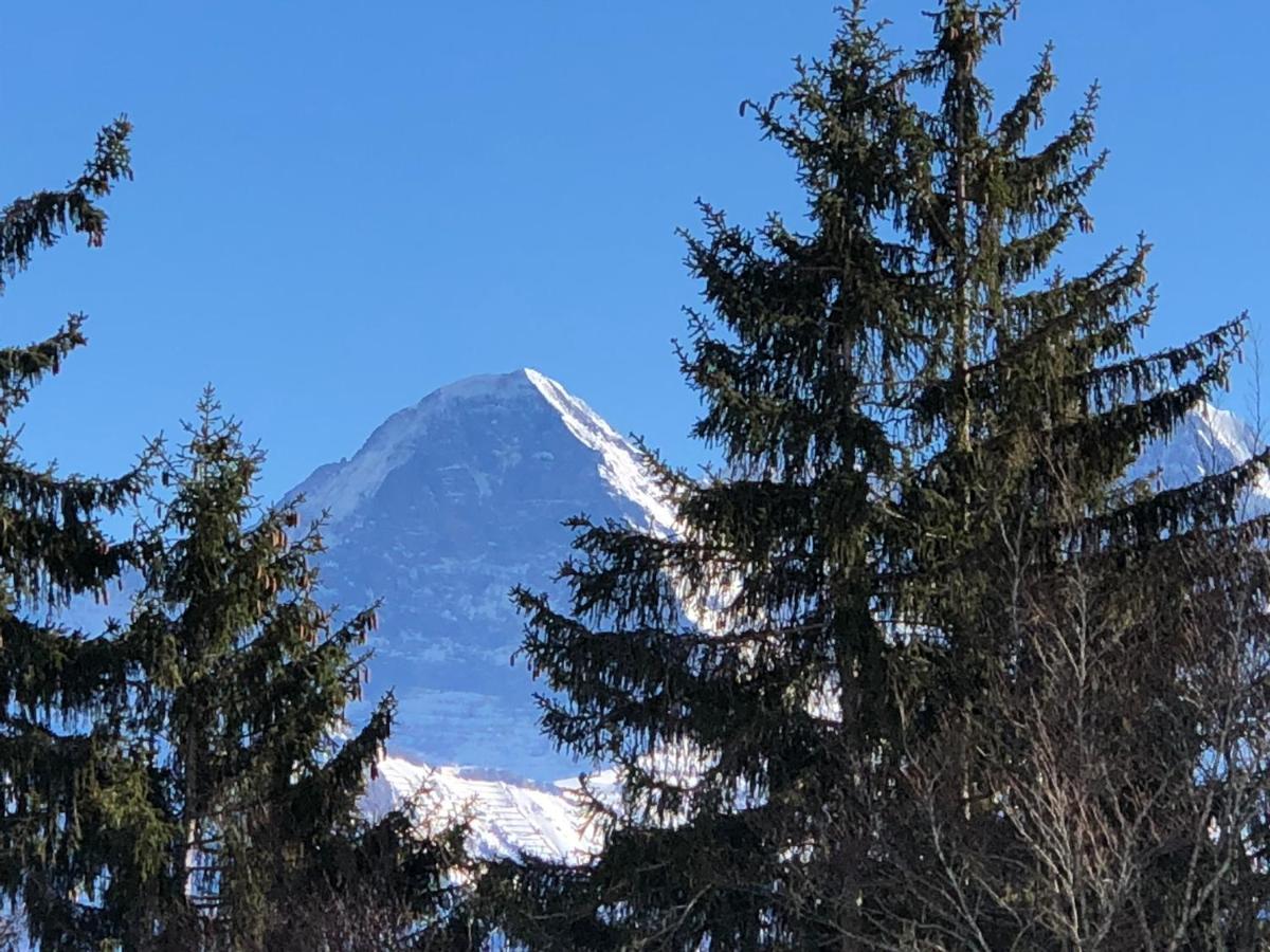 Wohnung Mit See Und Bergsicht Im Vier Sterne Hotel Beatenberg Luaran gambar