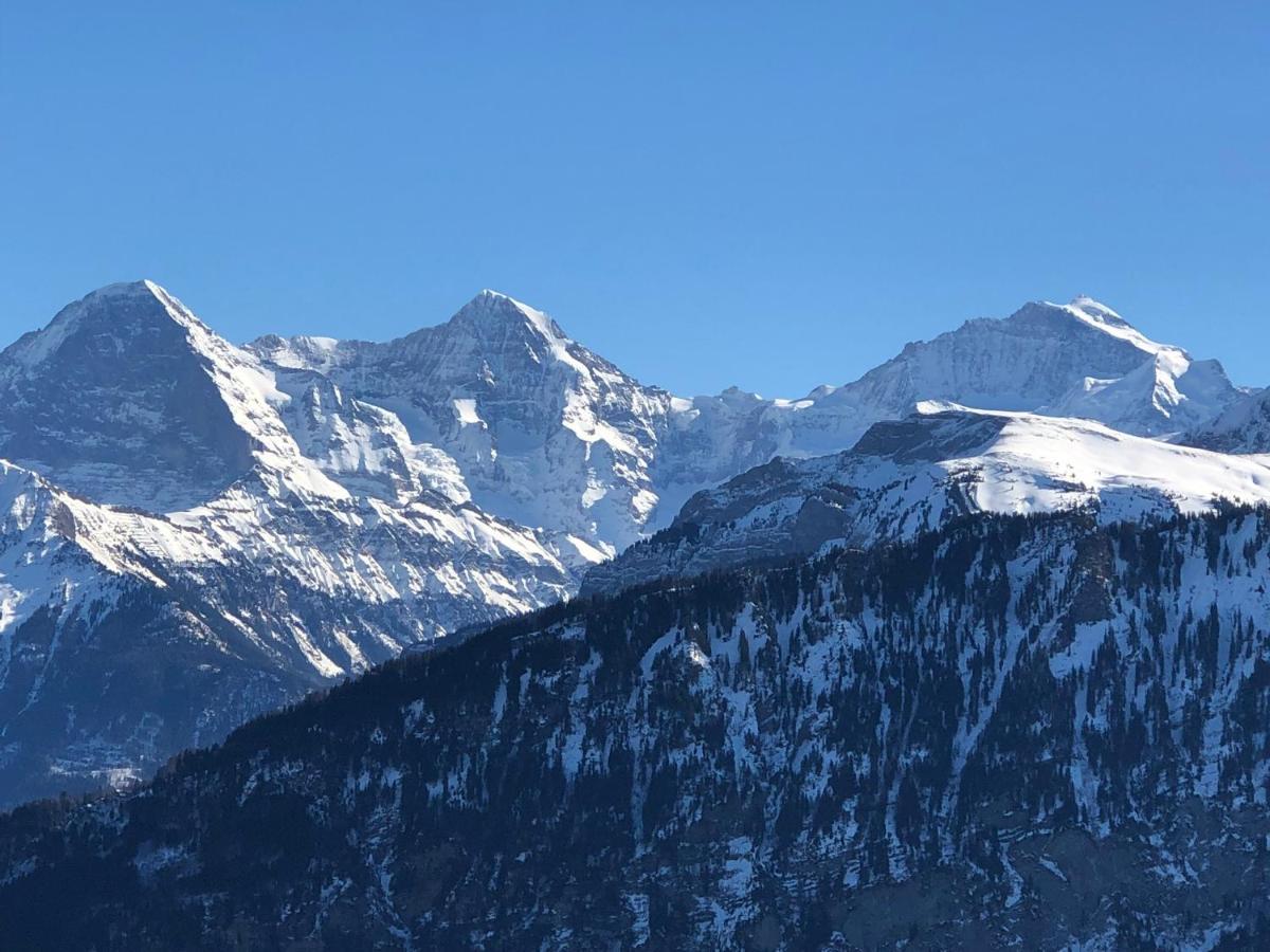 Wohnung Mit See Und Bergsicht Im Vier Sterne Hotel Beatenberg Luaran gambar